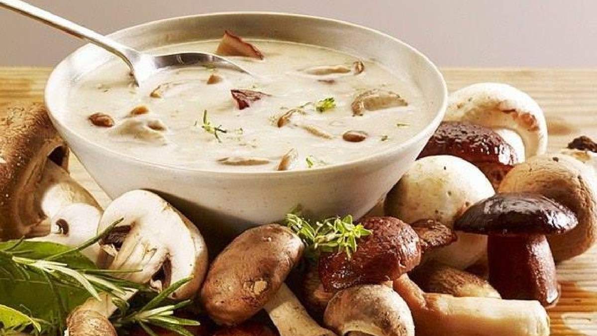 Грибная подлива: вкусные рецепты приготовления из свежих грибов