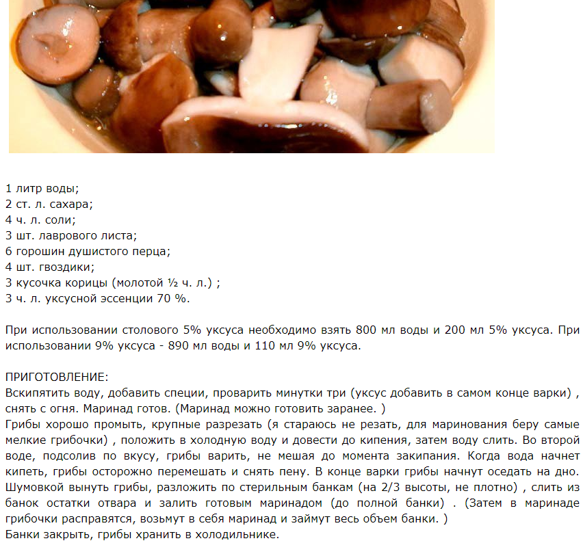 Закуски с грибами | грибные блюда | кулинарные рецепты | страница 1