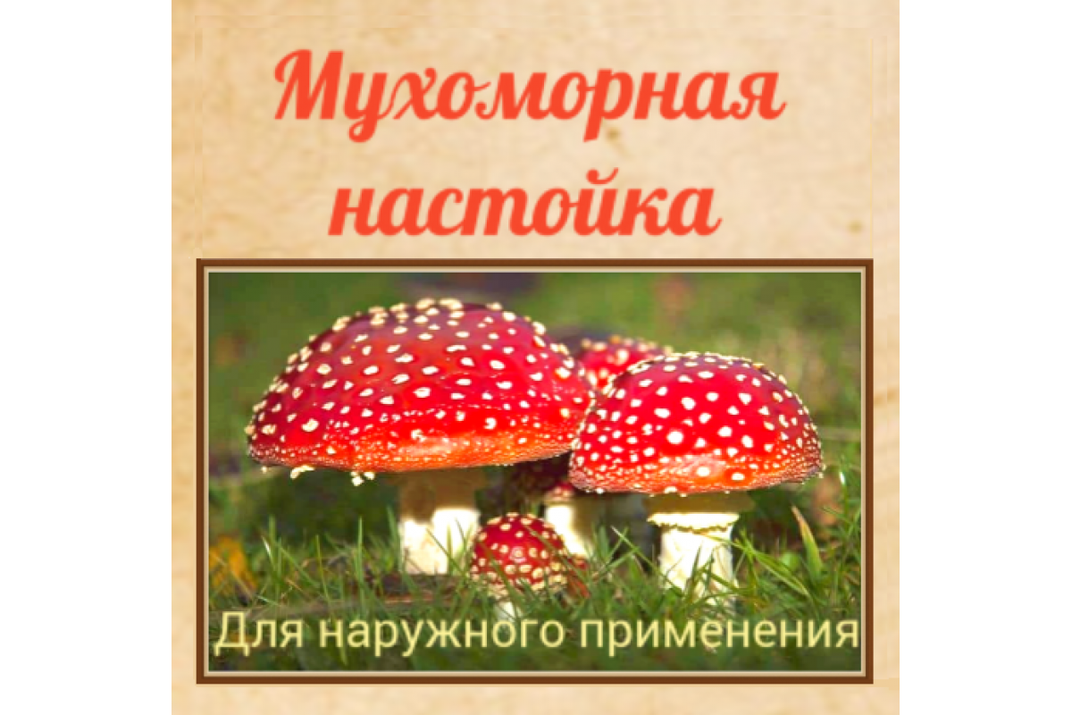 Мухомор: съедобные и ядовитые виды гриба