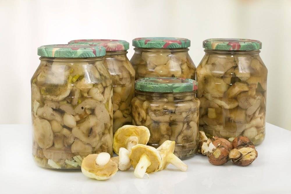 Соленые и маринованные валуи горячим способом: рецепты засолки и маринования грибов на зиму