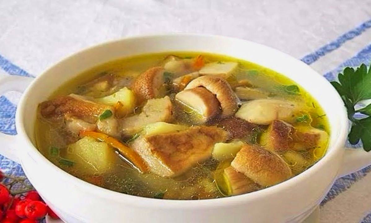 Можно ли из соленых груздей варить суп. груздянка: лучшие рецепты супа из королевских грибов