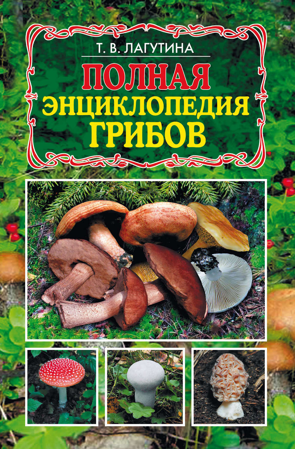 Виды съедобных грибов: названия, фото и описание
