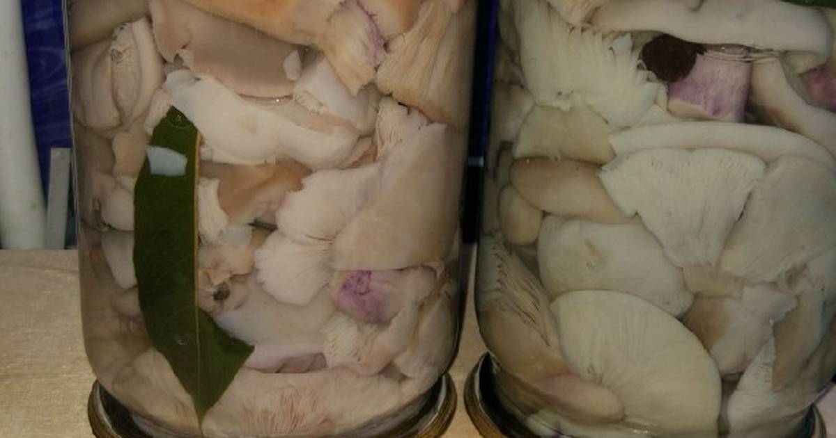 Жарим грибы синеножка (рядовка лиловоногая) — лучшие рецепты приготовления с луком, картошкой и со сметаной