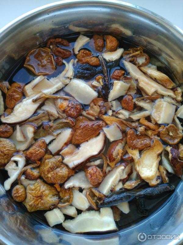 Как правильно варить белые грибы и сколько времени нужно