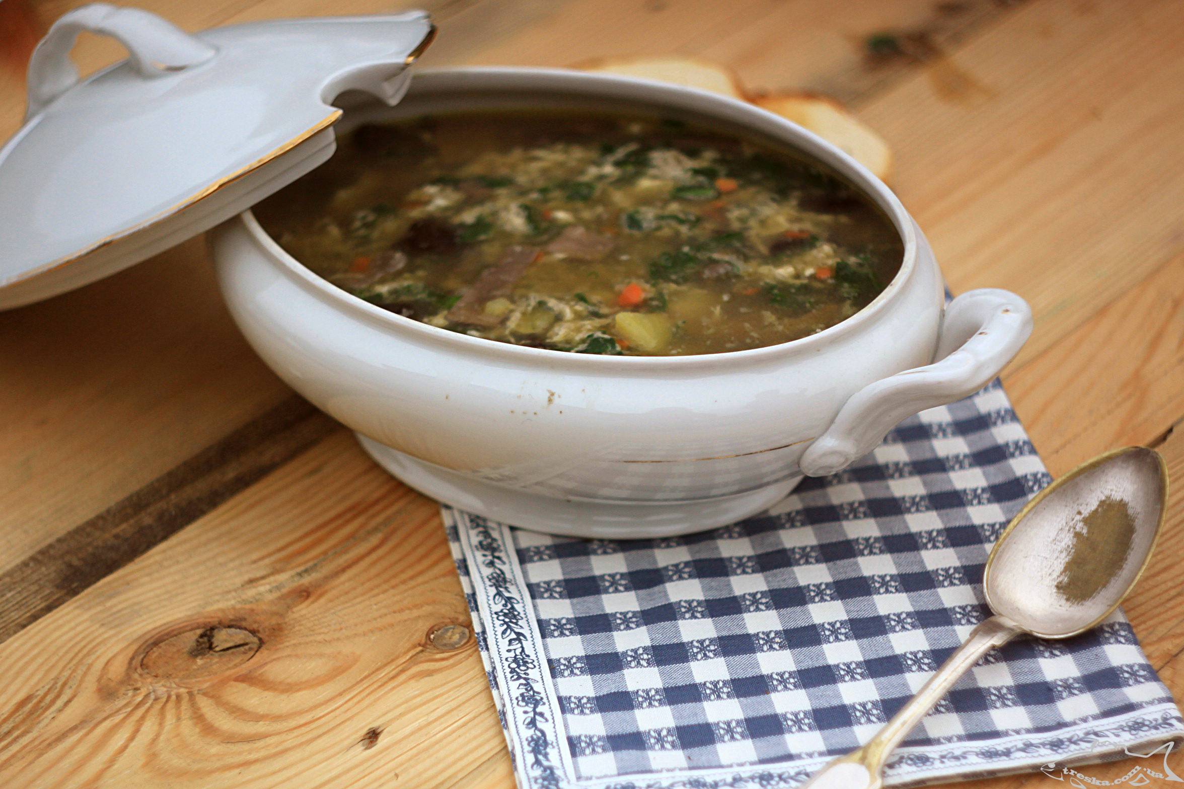 Суп с солеными груздями - рецепт из свежих грибов