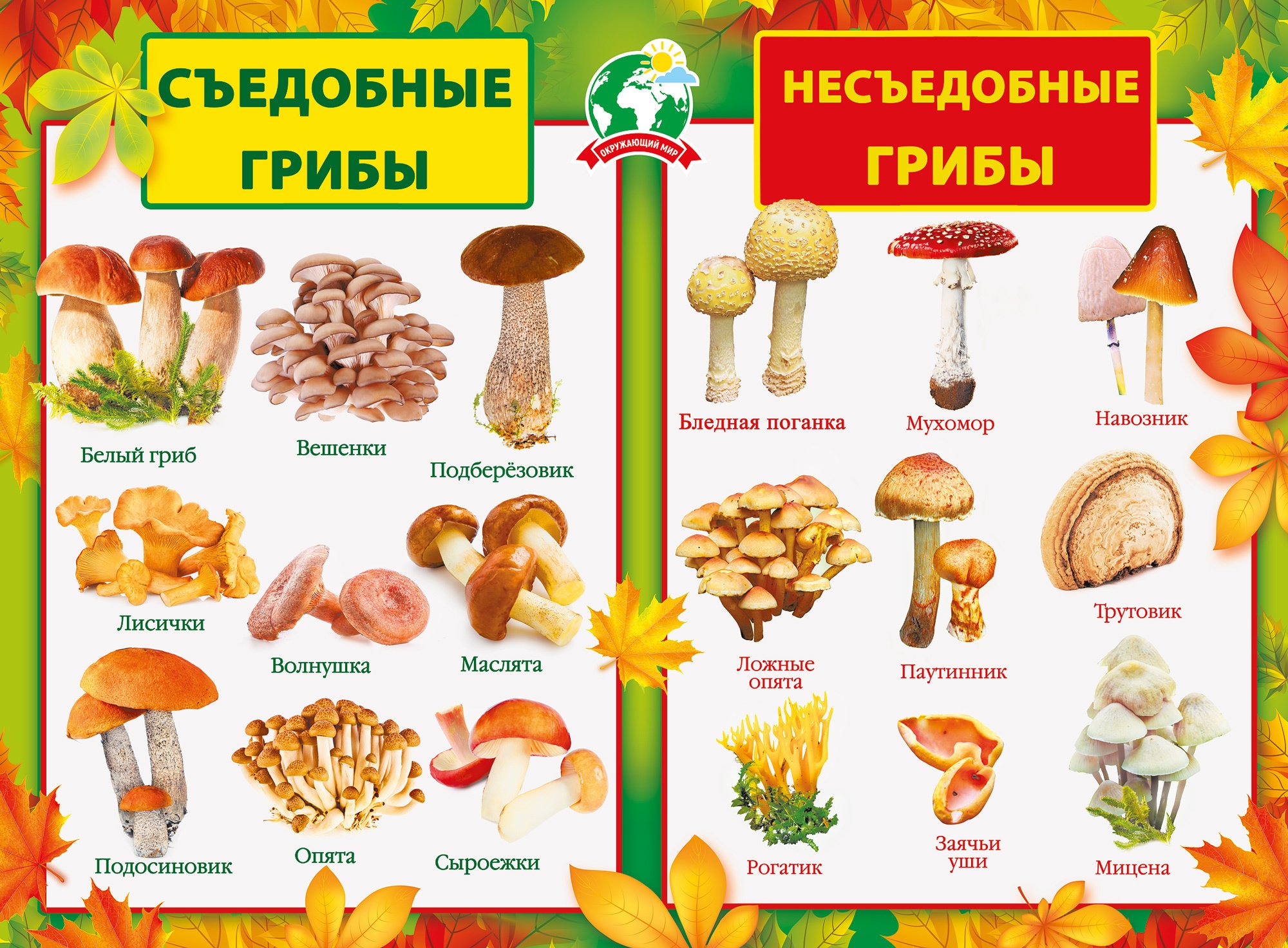 Шашлыки из грибов - вкусные и простые рецепты на любой вкус