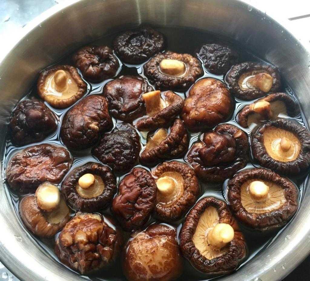 Грибы шитаки (шиитаке). как приготовить свежие, сушеные, замороженные