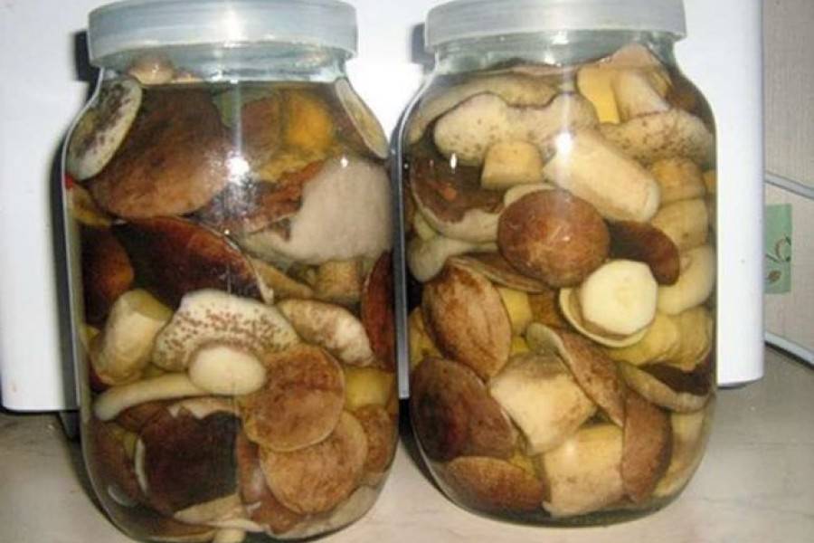 Маринуем польские грибы: простые рецепты приготовления на зиму в банках в домашних условиях