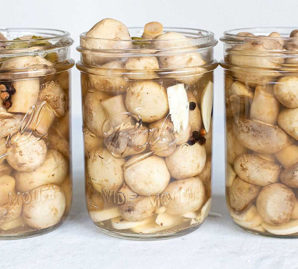Маринованные белые грибы на зиму: рецепт с фото