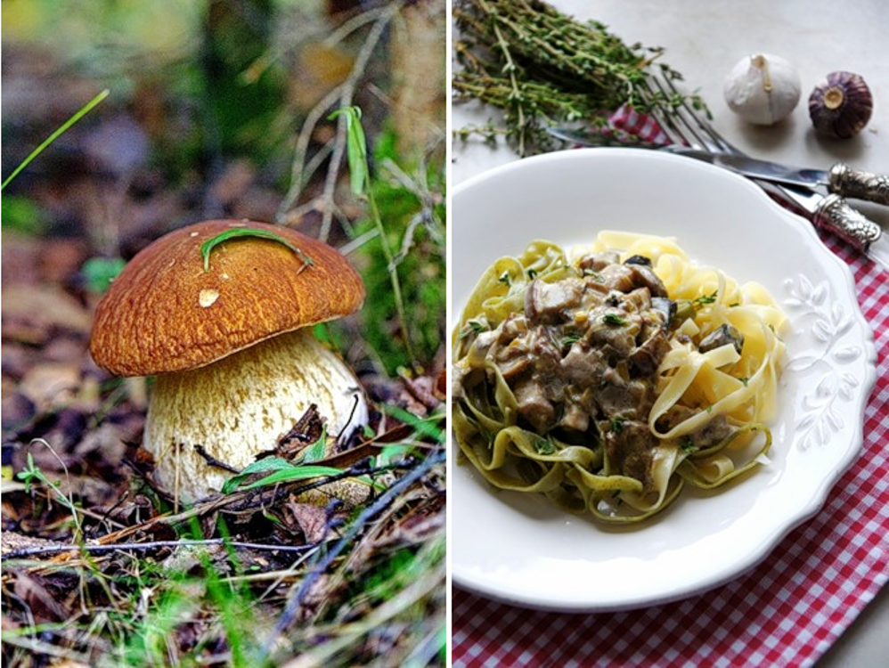 Грибной суп из белых грибов: 15 самых вкусных рецептов