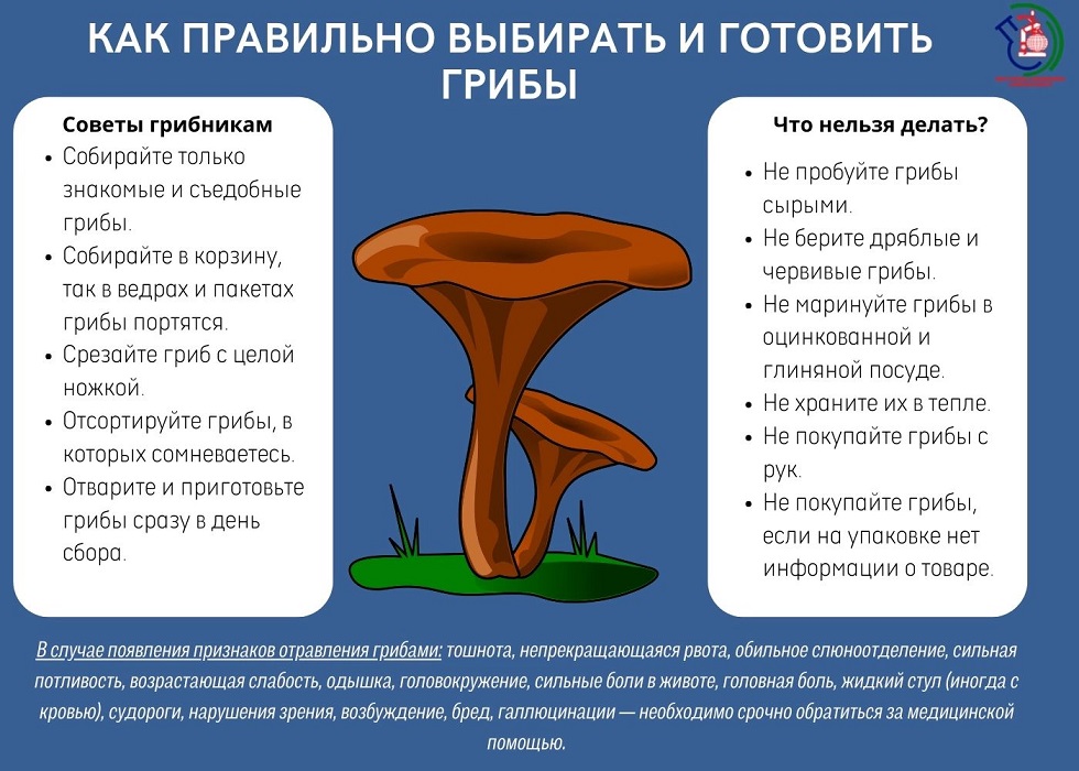 Отравление грибами: патогенез, клиника, лечение