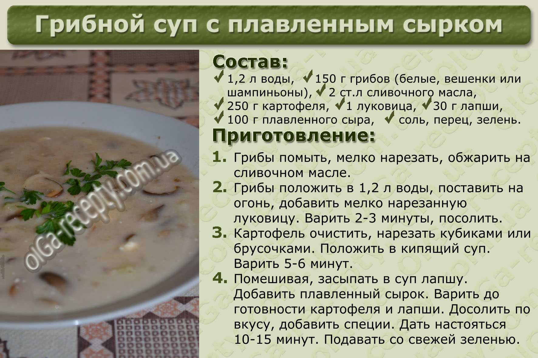 Суп из соленых грибов: способы приготовления и рецепты, польза и вред от использования продукта
