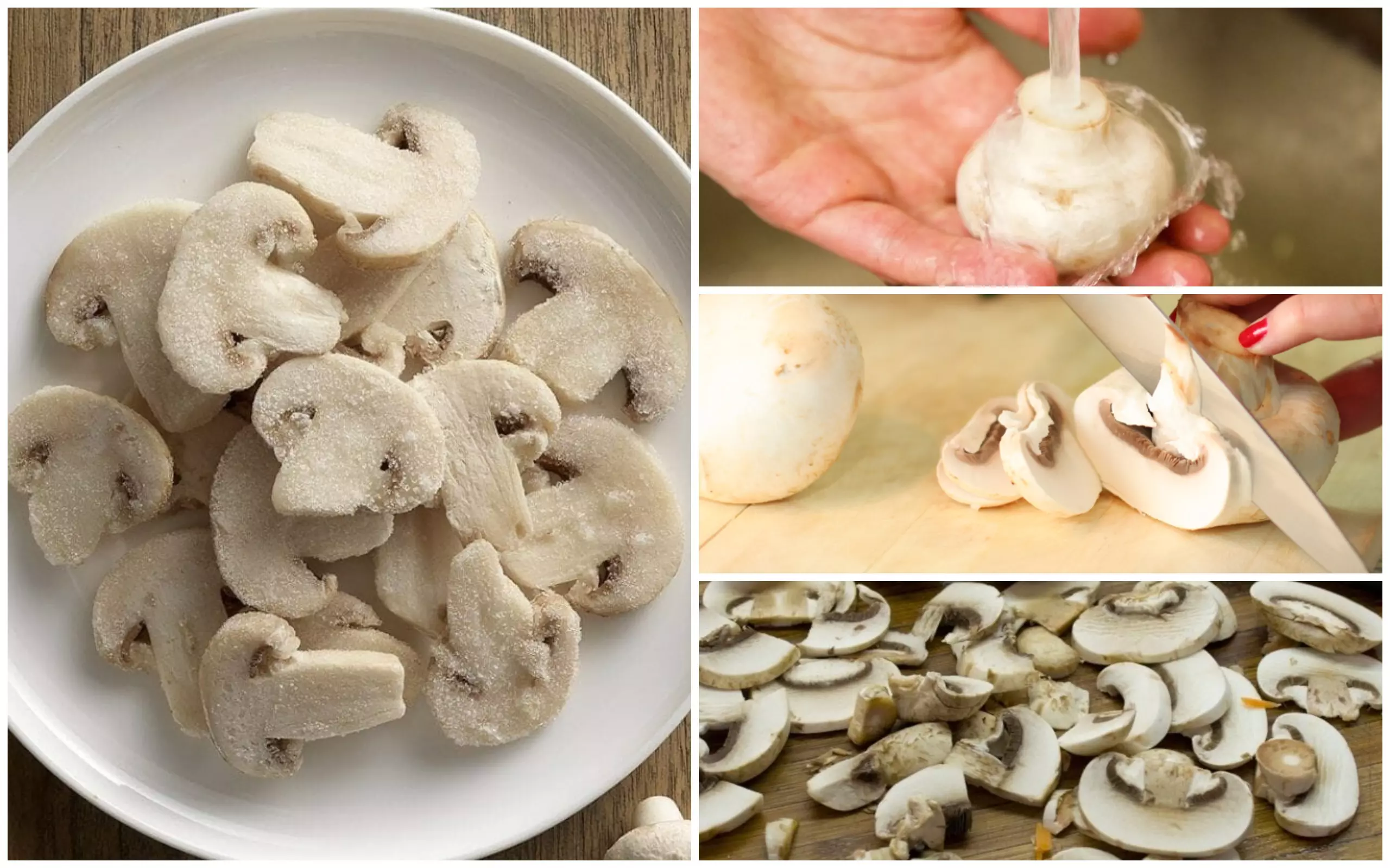 Как правильно заморозить свежие грибы вешенки на зиму: рецепты заморозки вешенок в морозилке