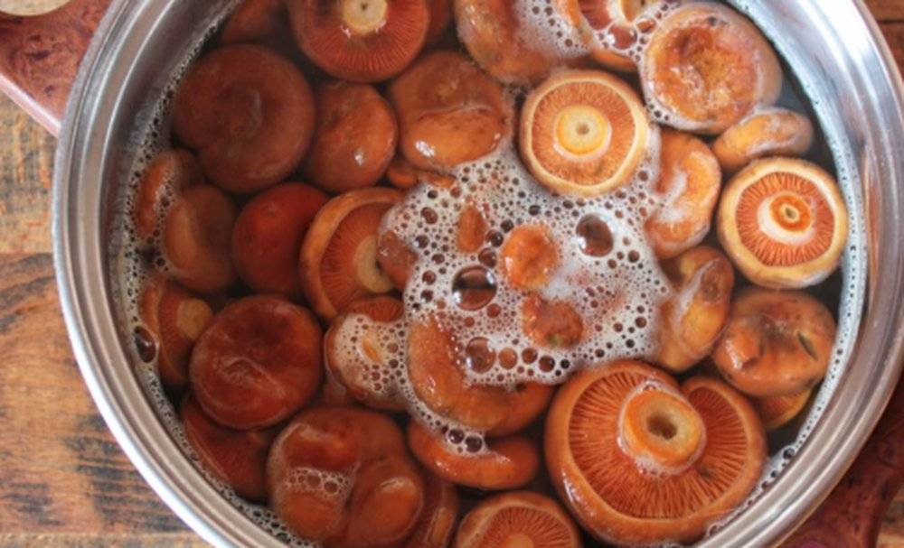 Засолка грибов рыжиков — топ рецептов