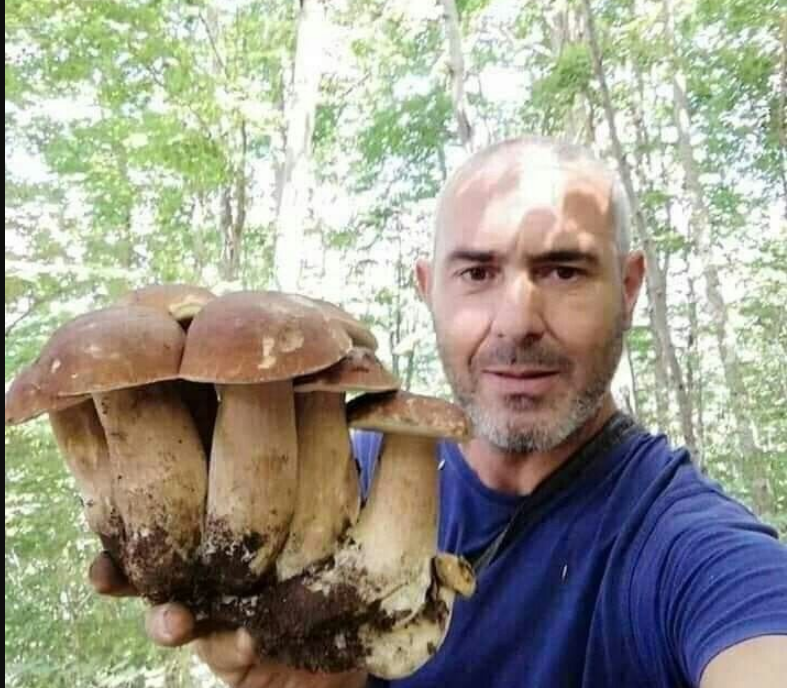 Самый большой белый гриб в мире