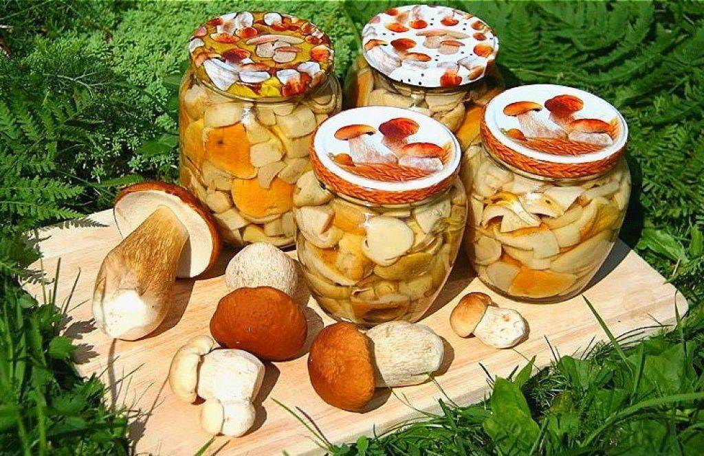 Квашеный гриб: рецепты с капустой, мясом и другими ингредиентами, условия хранения, а также как убрать кислоту из полученного продукта и прочие нюансы русский фермер