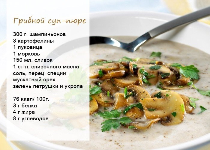 Суп из соленых грибов: способы приготовления и рецепты, польза и вред от использования продукта