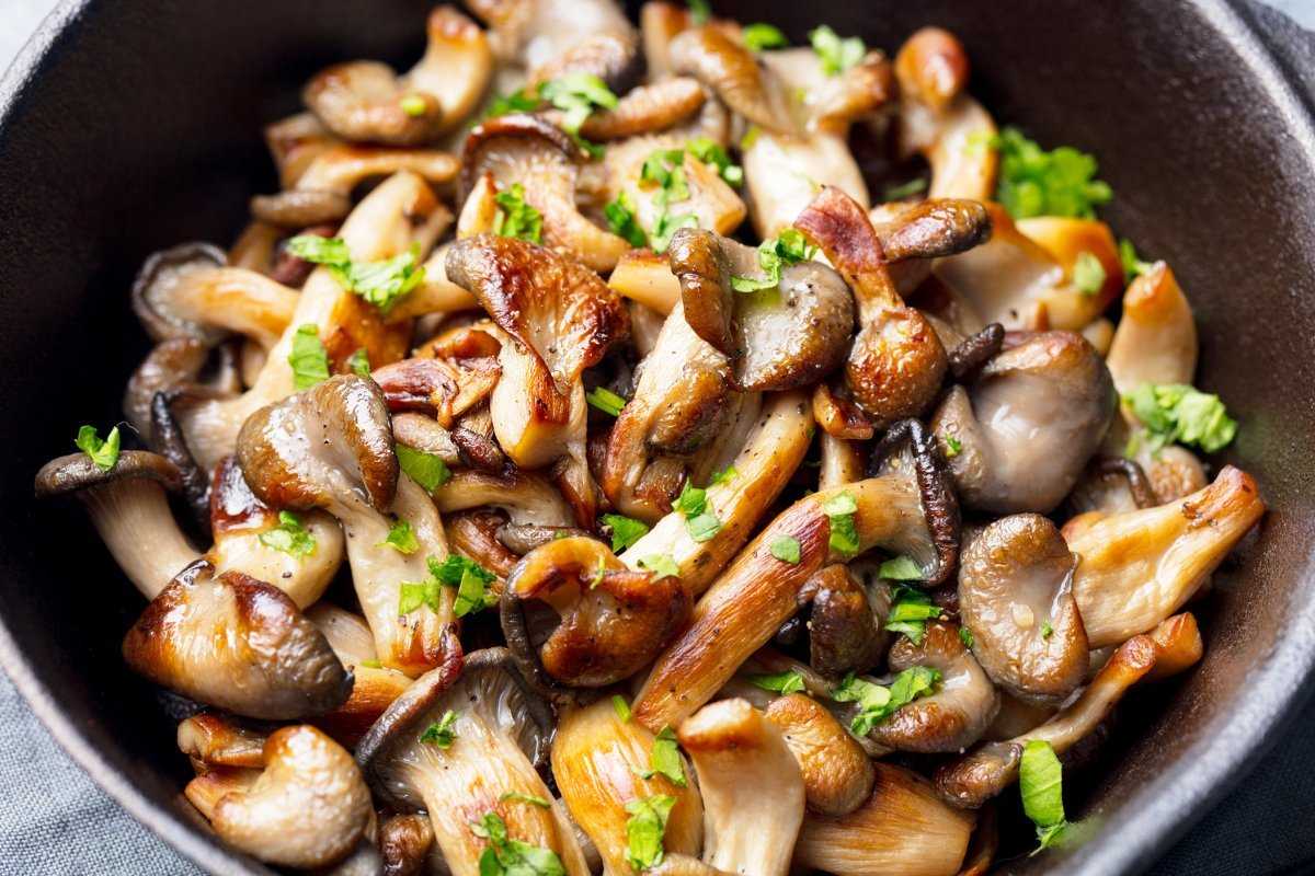 10 рецептов очень вкусной картошки с грибами на сковороде