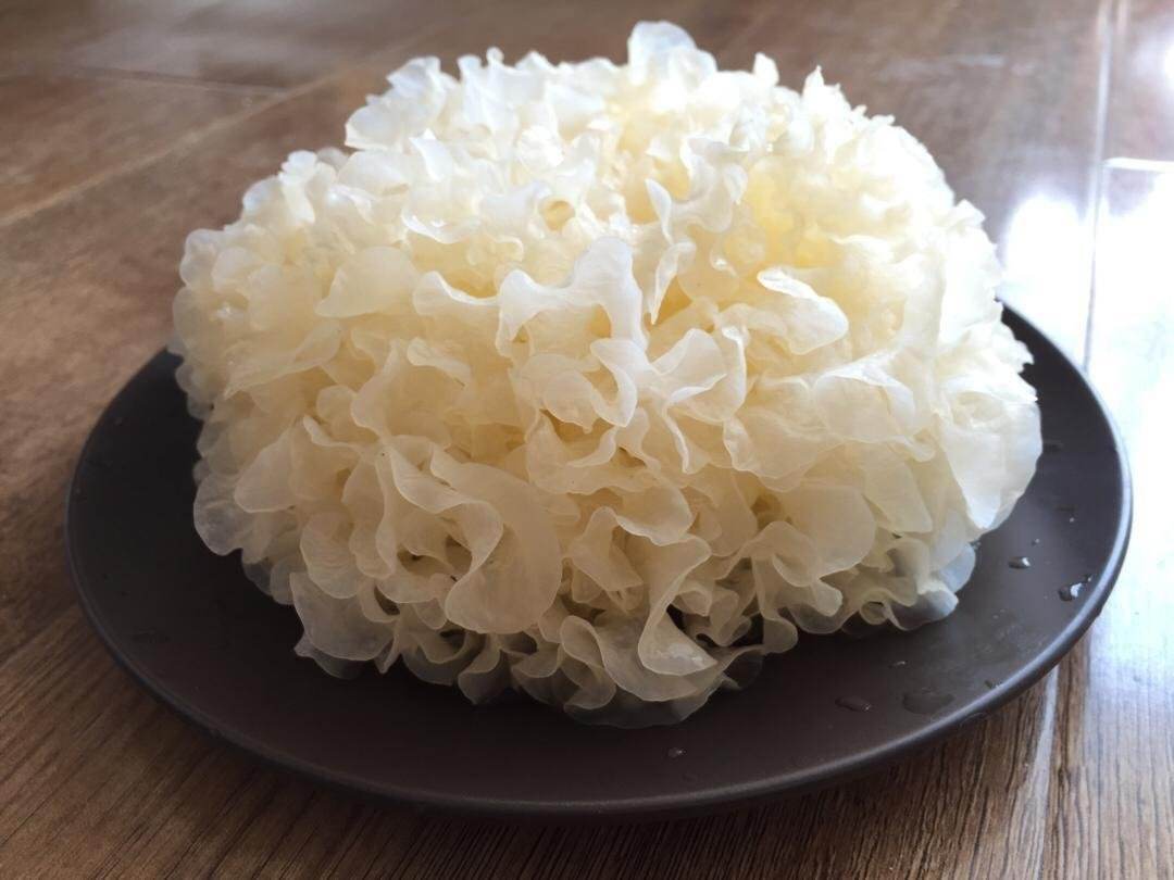 Ледяной гриб – легенда восточной кухни - грибы собираем