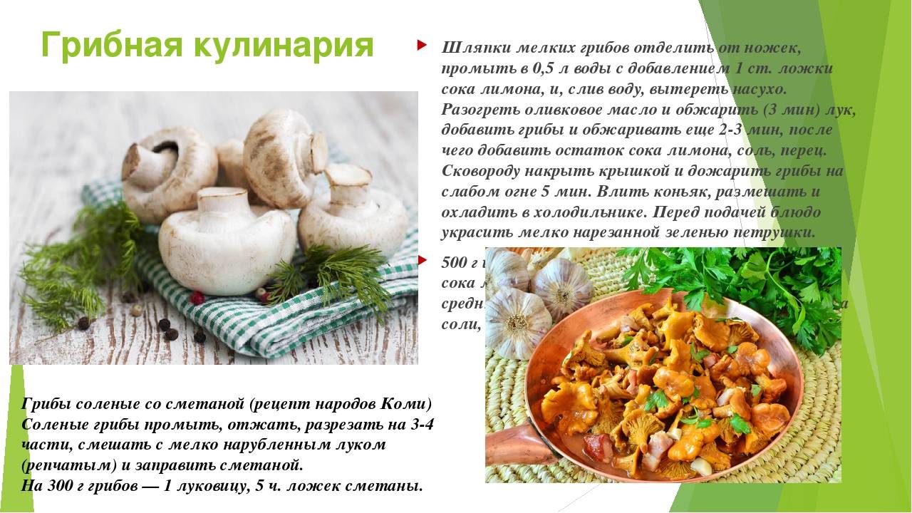 Вареники с грибами: пошаговые рецепты приготовления в домашних условиях