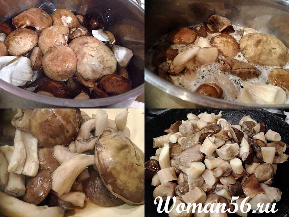 Как правильно и вкусно готовить подосиновики - грибы собираем