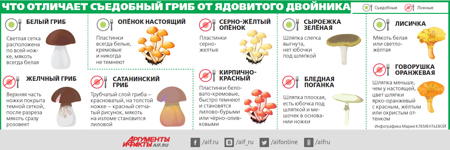 Симптомы отравления грибами — "сенситив"