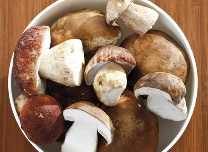 Как варить белые грибы