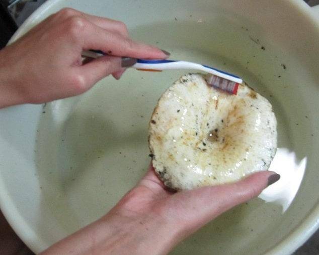 Рецепты приготовления белых груздей на зиму: фото, видео, пошаговое описание, как готовить грибные блюда