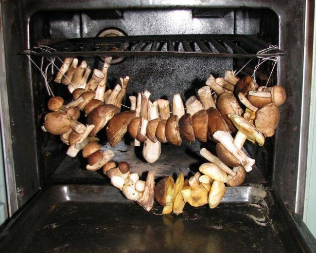 Как сушить белые грибы в домашних условиях в духовке и т.д.
