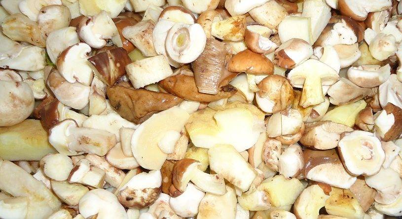 Как варить грибы: сколько варить грибы правильно по времени