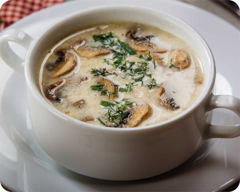 Грибной суп: 6 вкусных рецептов из шампиньонов и лесных грибов