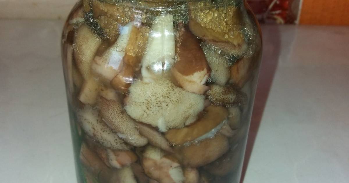 Подберезовики – рецепты приготовления грибов впрок на зиму с пошаговыми фото